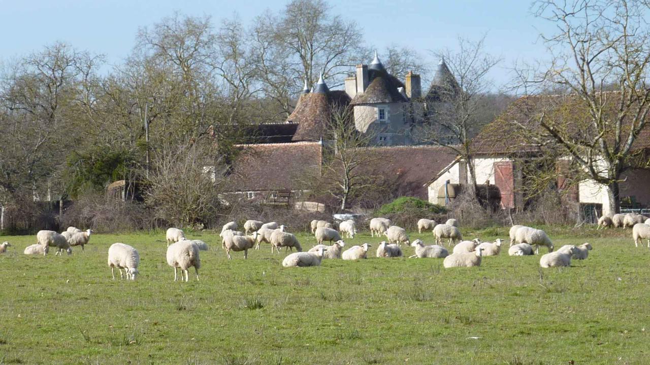 Le Logis Alexandra Bnb La Trimouille エクステリア 写真