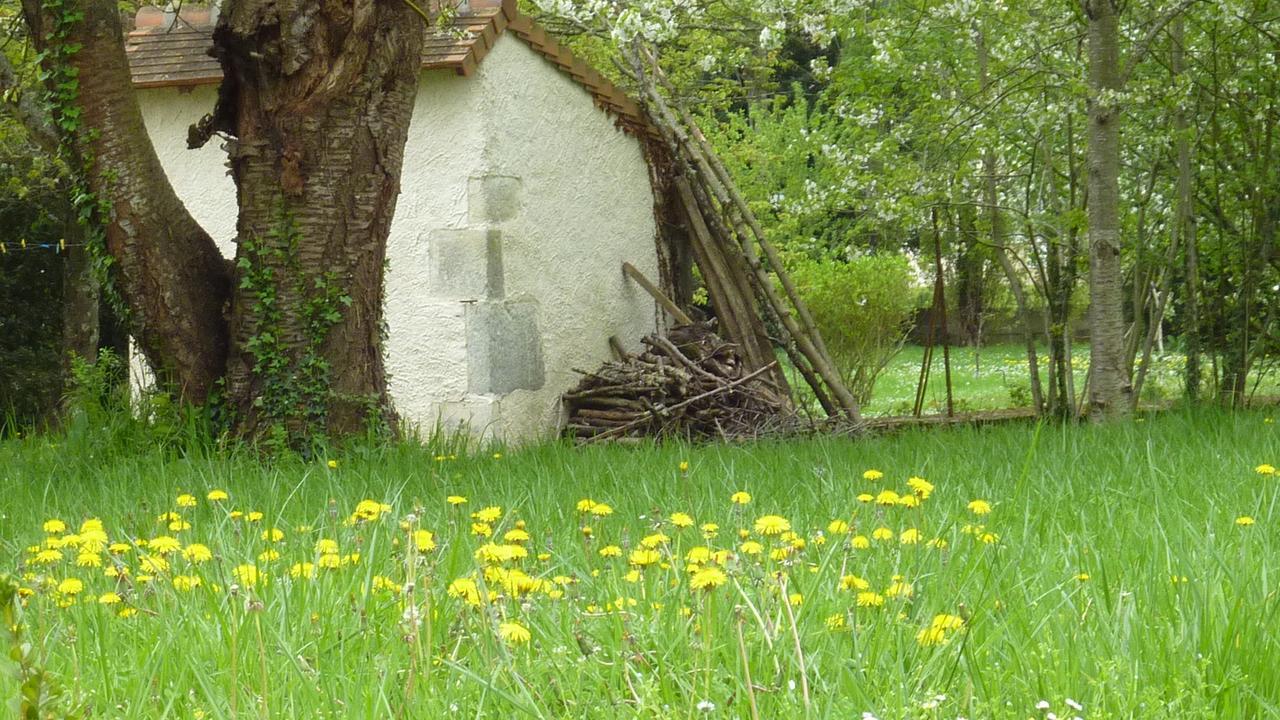 Le Logis Alexandra Bnb La Trimouille エクステリア 写真